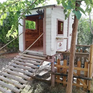 Azienda Agrituristica Le Betulle Gospodarstwo agroturystyczne Riotorto